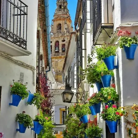 Carla Homes * Cordoba