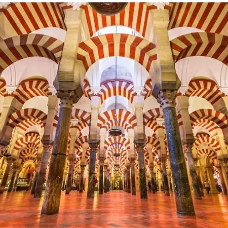 Apartment Carla Homes Cordoba