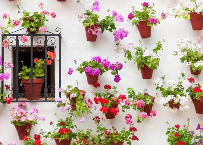 아파트 Carla Homes *