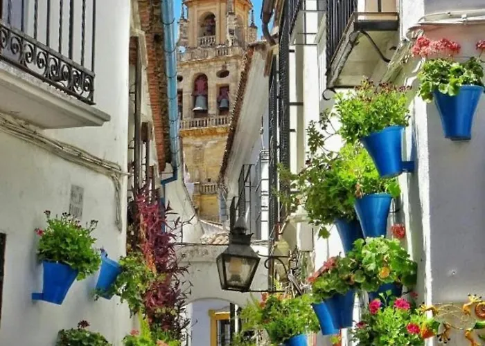 Carla Homes * Cordoba